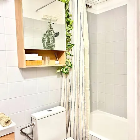 Apartment Hana House *